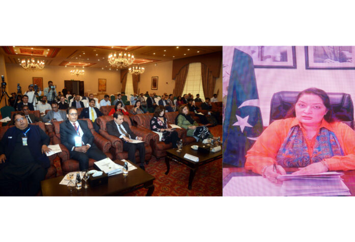 Pakistan to push for more climate finance flows at upcoming global climate talks in Baku